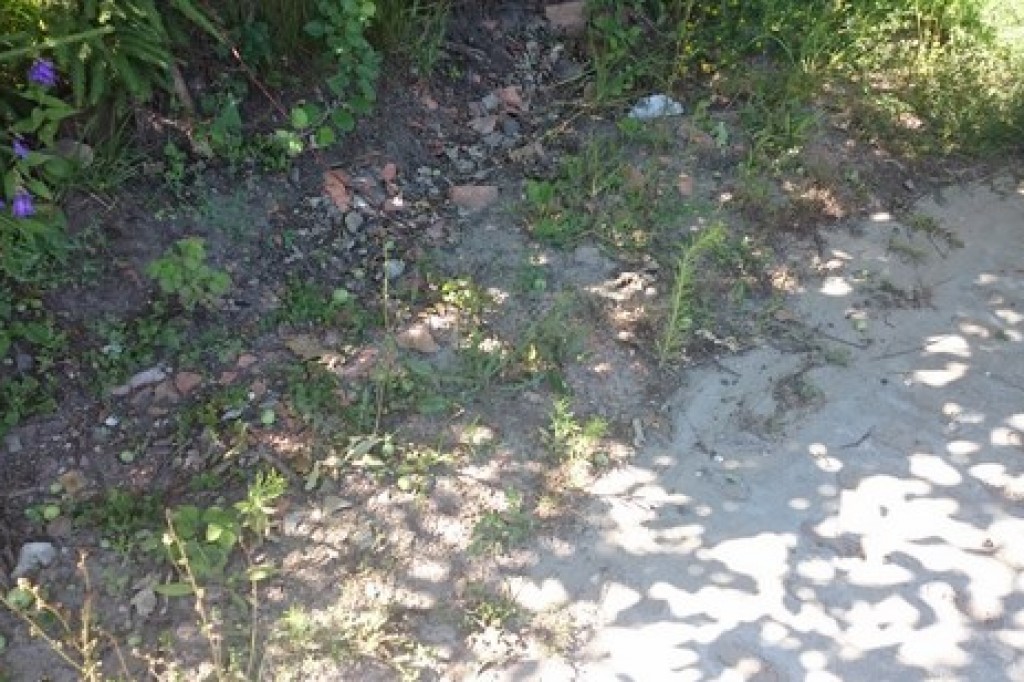 Czy wady dróg zostaną w końcu usunięte?