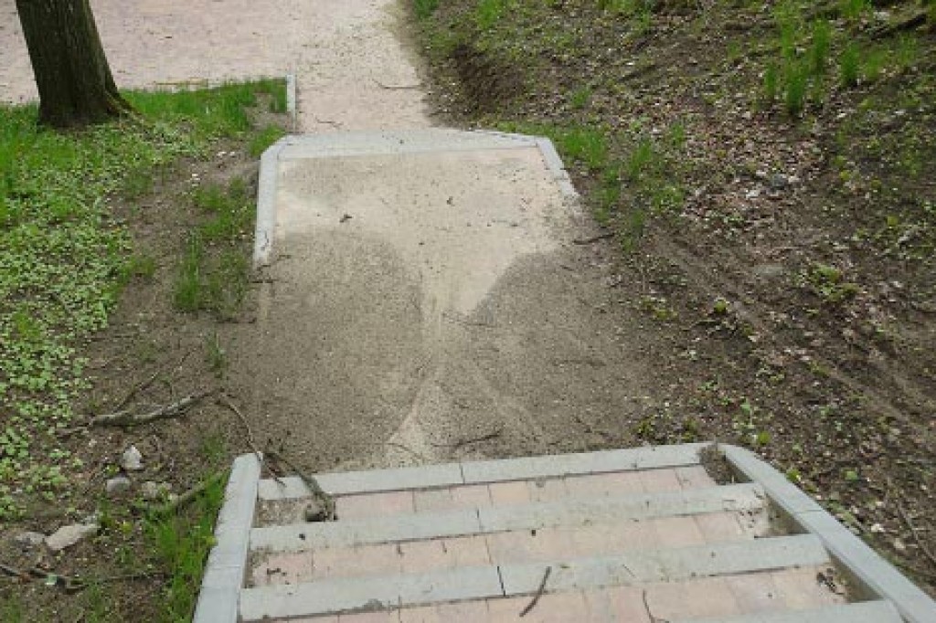 Fuszerka i dewastacja w Parku Miejskim