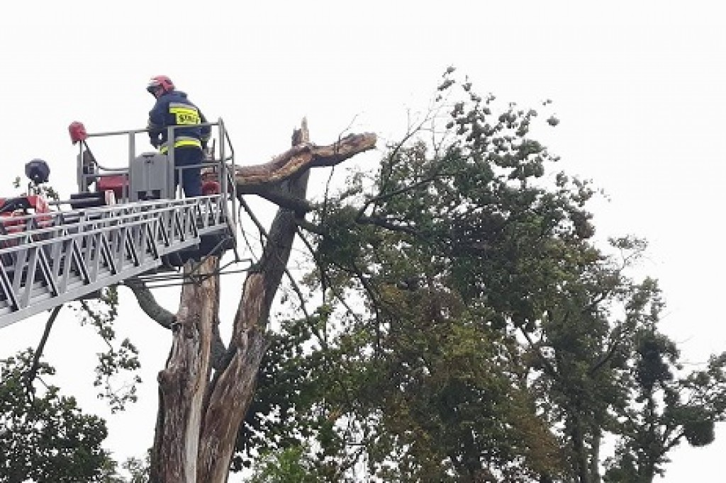 Usuwanie skutków nawałnicy