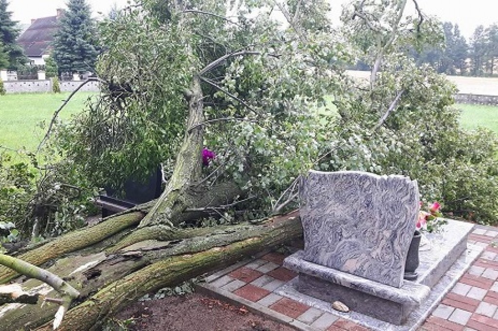 Usuwanie skutków nawałnicy