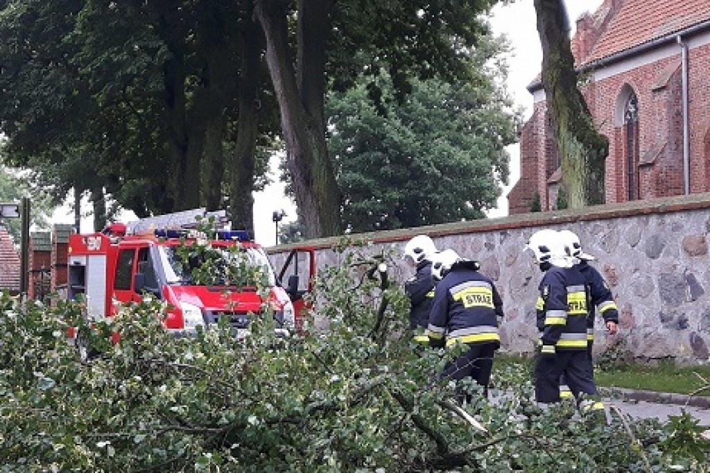 Usuwanie skutków nawałnicy