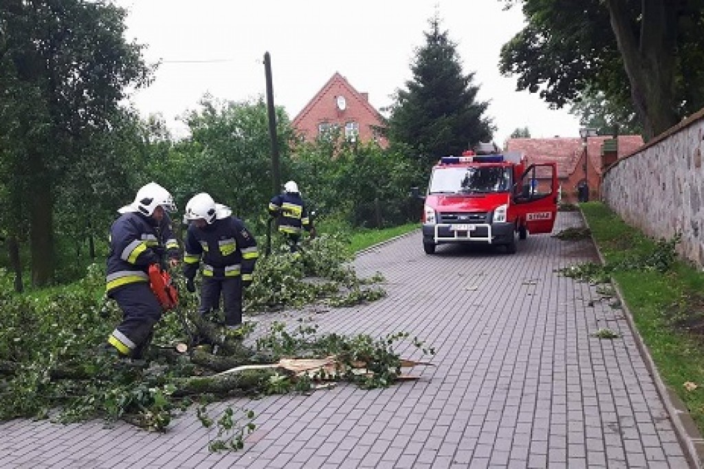 Usuwanie skutków nawałnicy