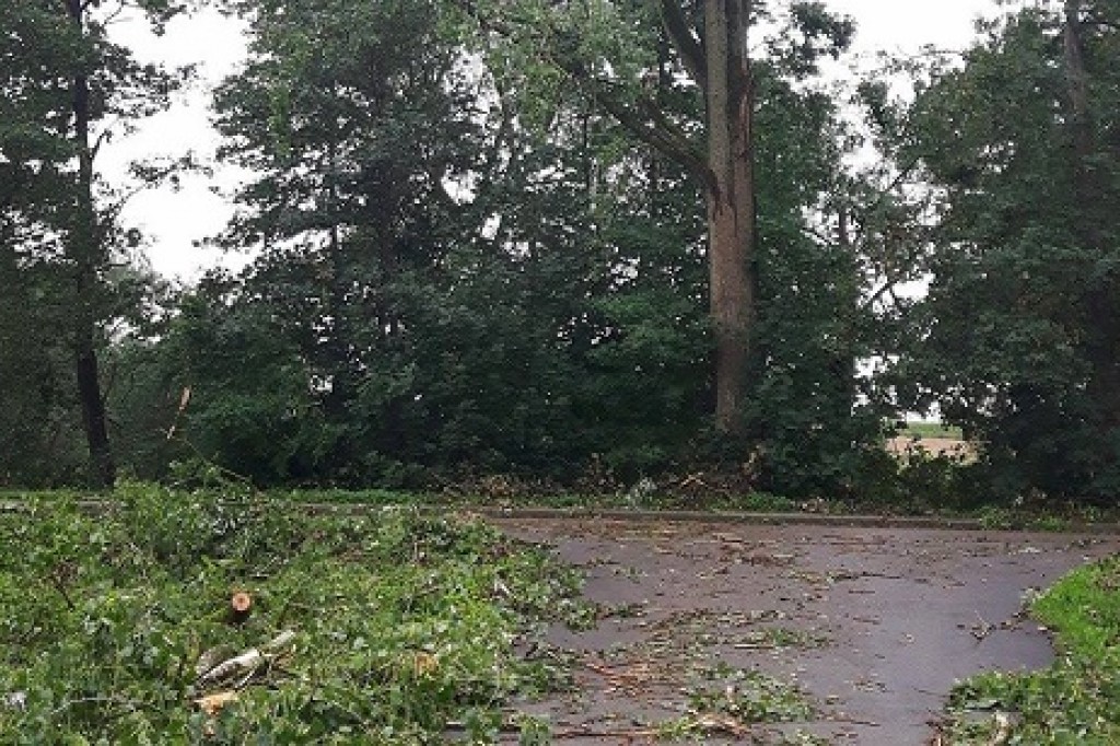 Usuwanie skutków nawałnicy