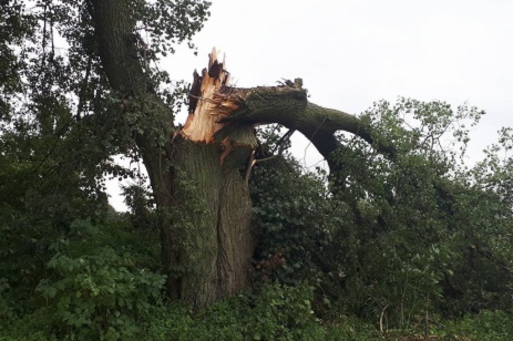 Usuwanie skutków nawałnicy