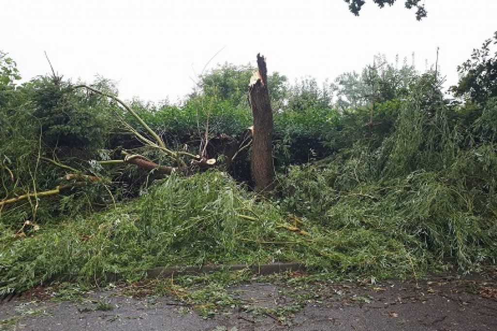 Usuwanie skutków nawałnicy