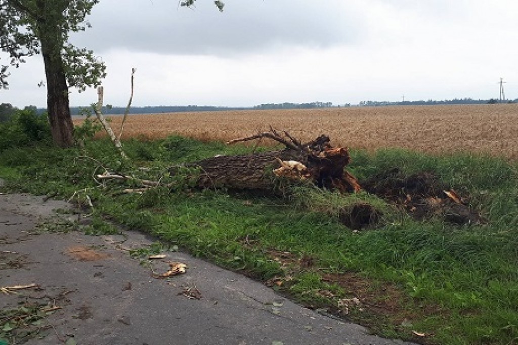 Usuwanie skutków nawałnicy