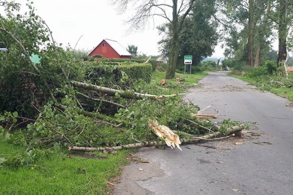 Usuwanie skutków nawałnicy