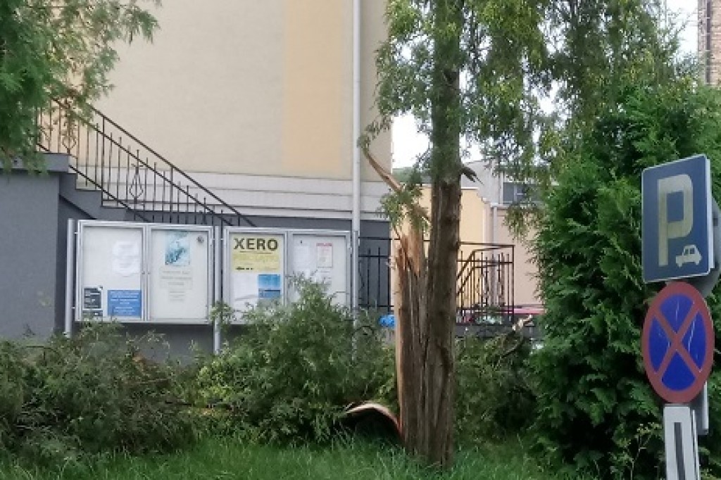 Usuwanie skutków nawałnicy