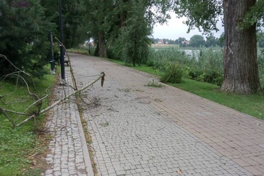 Usuwanie skutków nawałnicy