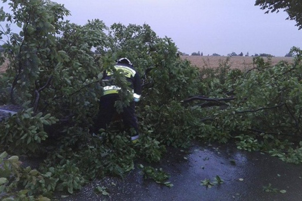 Usuwanie skutków nawałnicy
