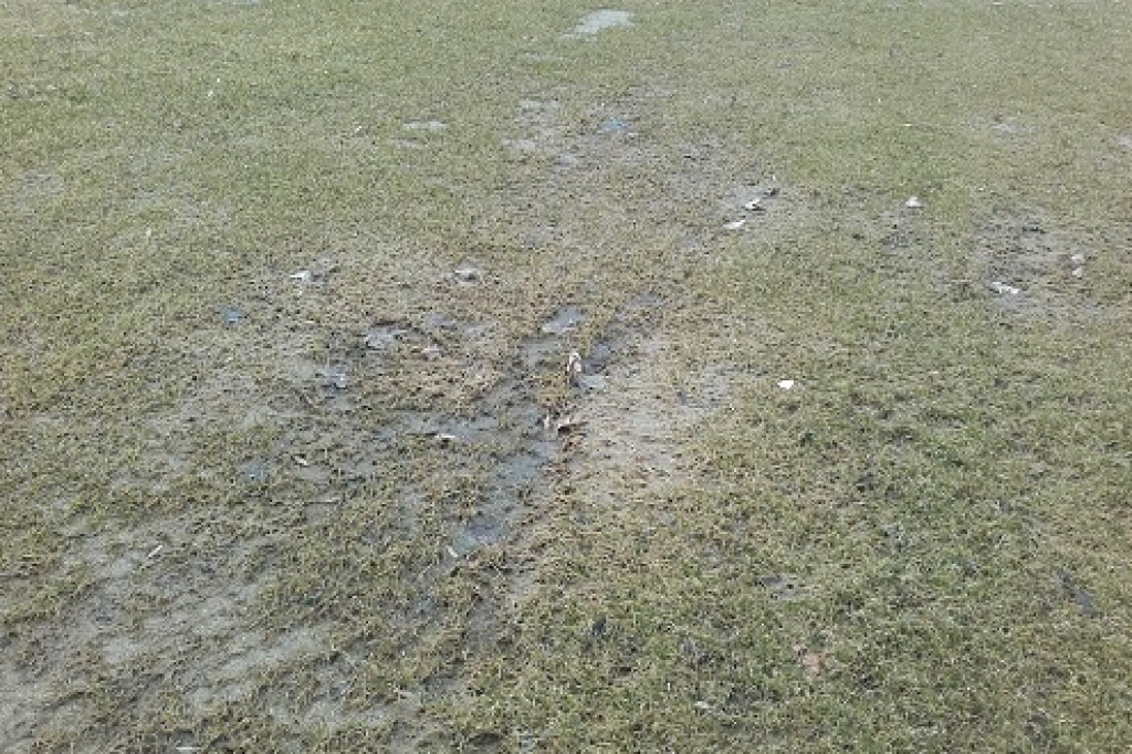 Nowy stadion z wadą