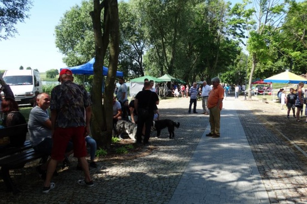 Piknik Rodzinny z okazji Dnia Dziecka