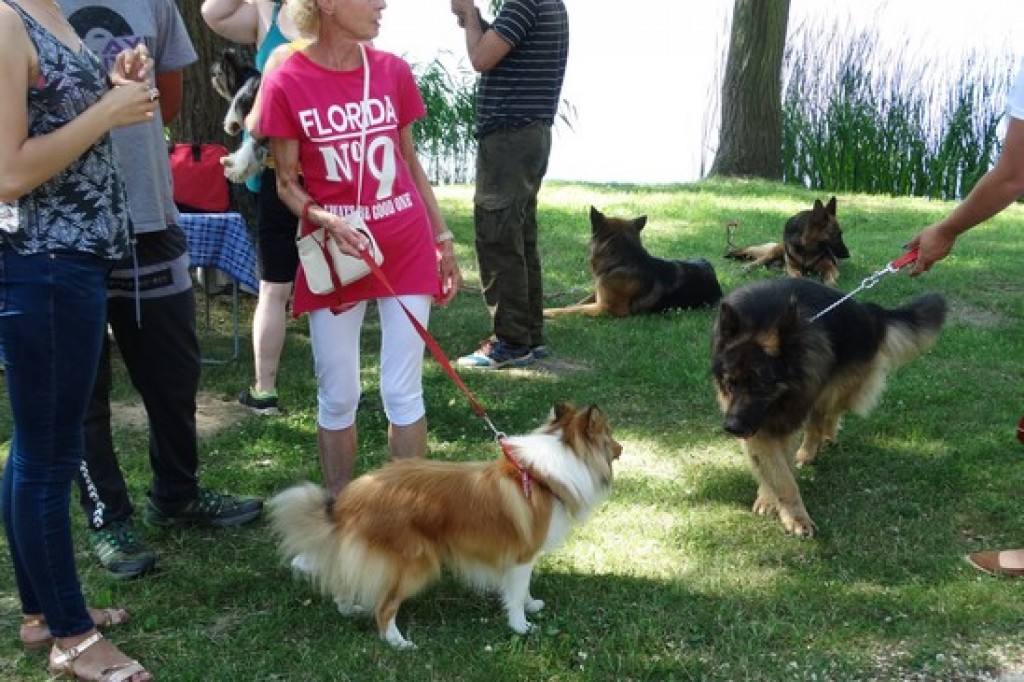 Piknik Rodzinny z okazji Dnia Dziecka