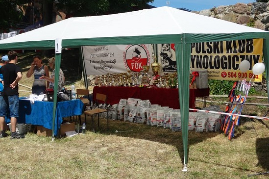 Piknik Rodzinny z okazji Dnia Dziecka