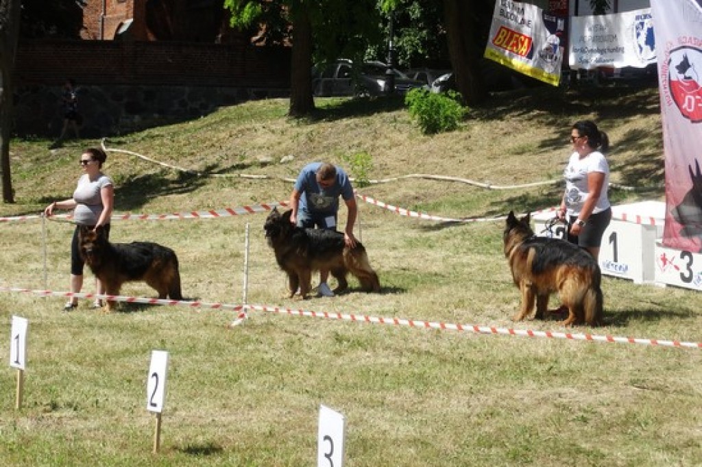 Piknik Rodzinny z okazji Dnia Dziecka
