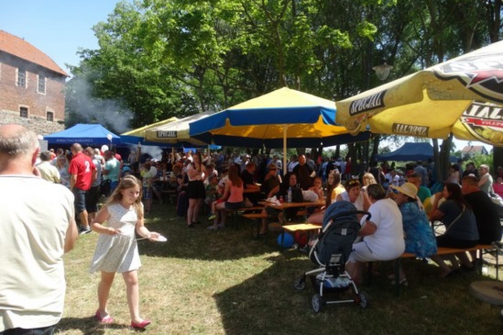 Piknik Rodzinny z okazji Dnia Dziecka