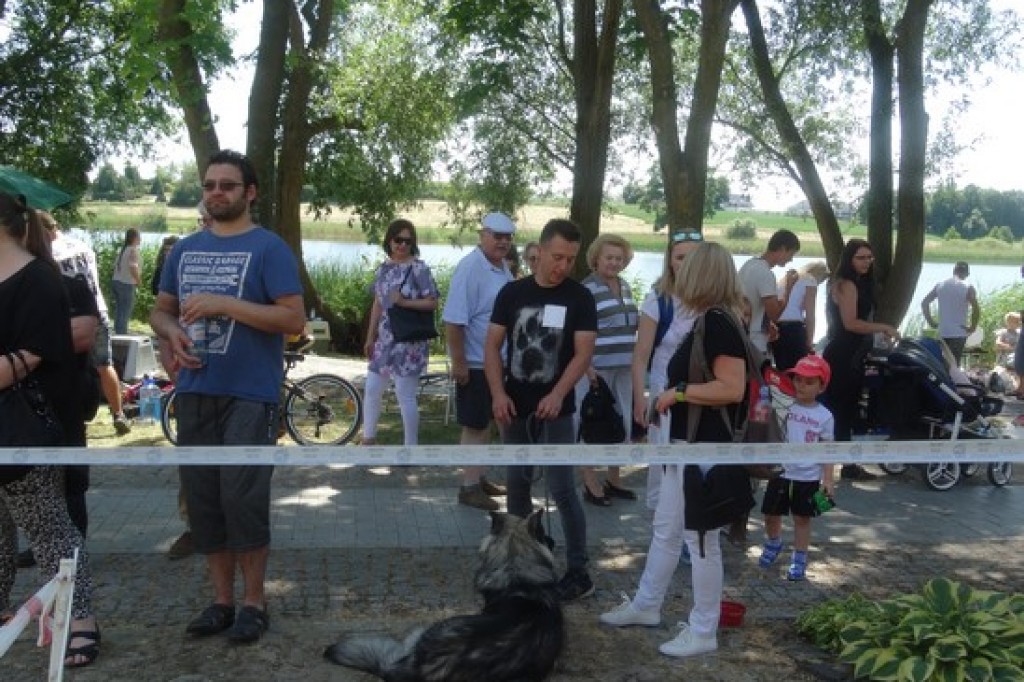 Piknik Rodzinny z okazji Dnia Dziecka