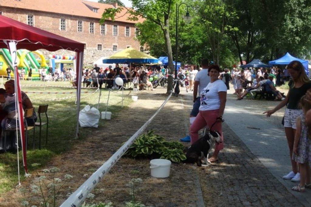 Piknik Rodzinny z okazji Dnia Dziecka