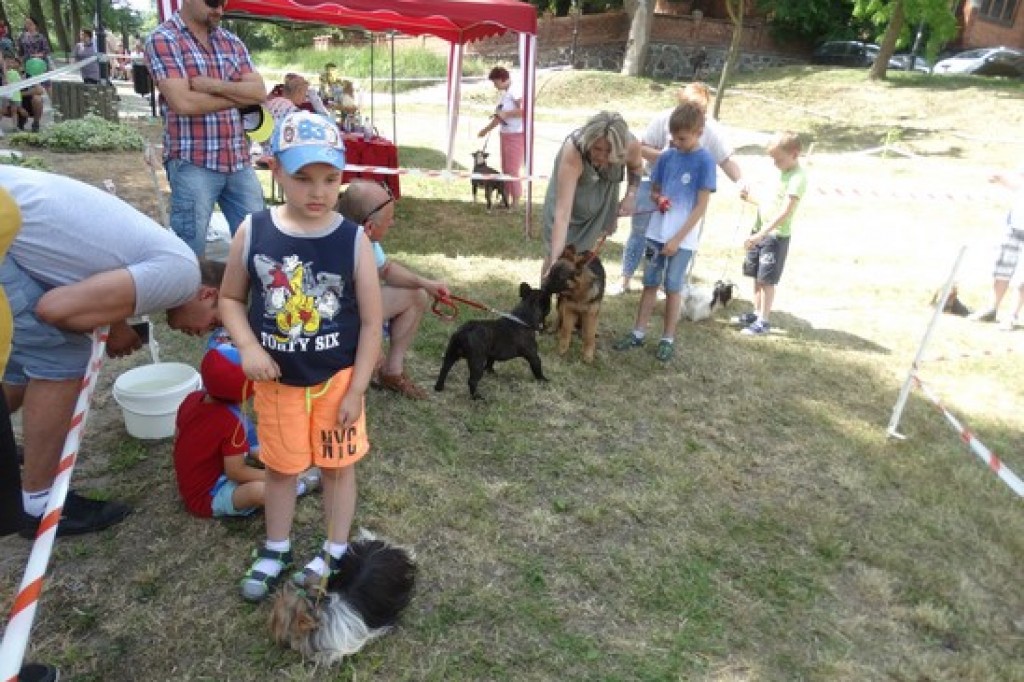 Piknik Rodzinny z okazji Dnia Dziecka