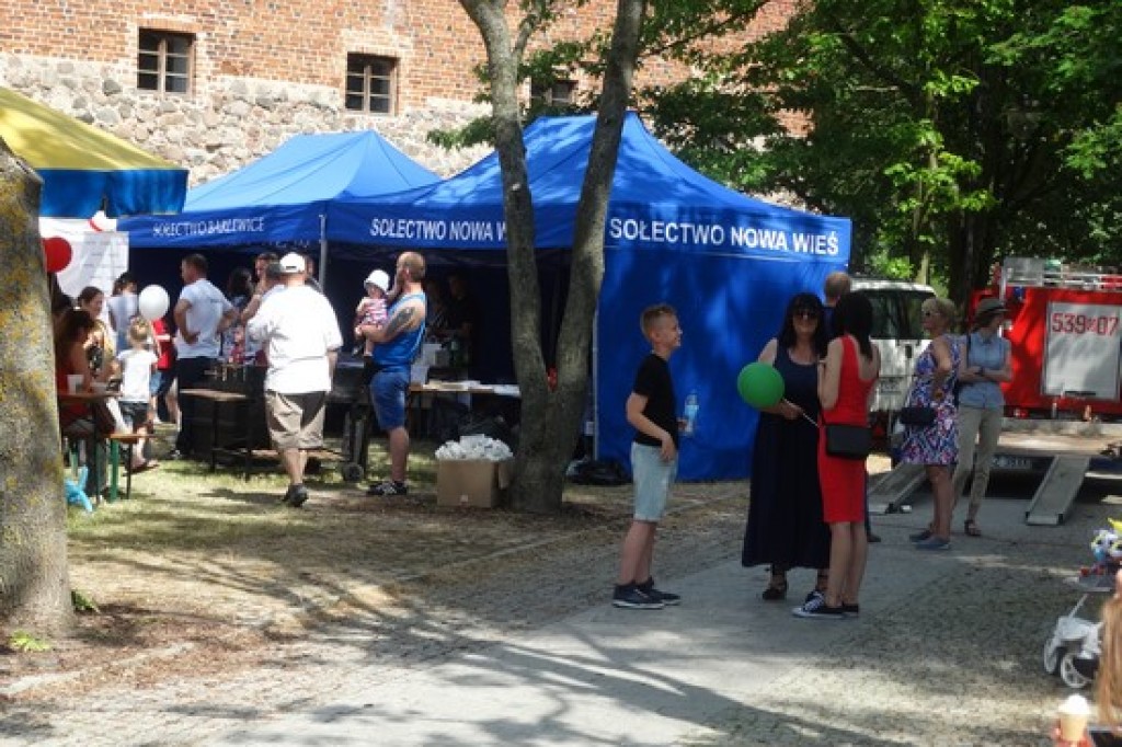 Piknik Rodzinny z okazji Dnia Dziecka