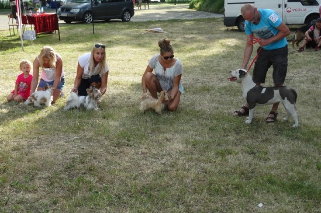 Piknik Rodzinny z okazji Dnia Dziecka