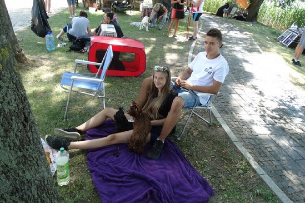 Krajowa Wystawa Psów