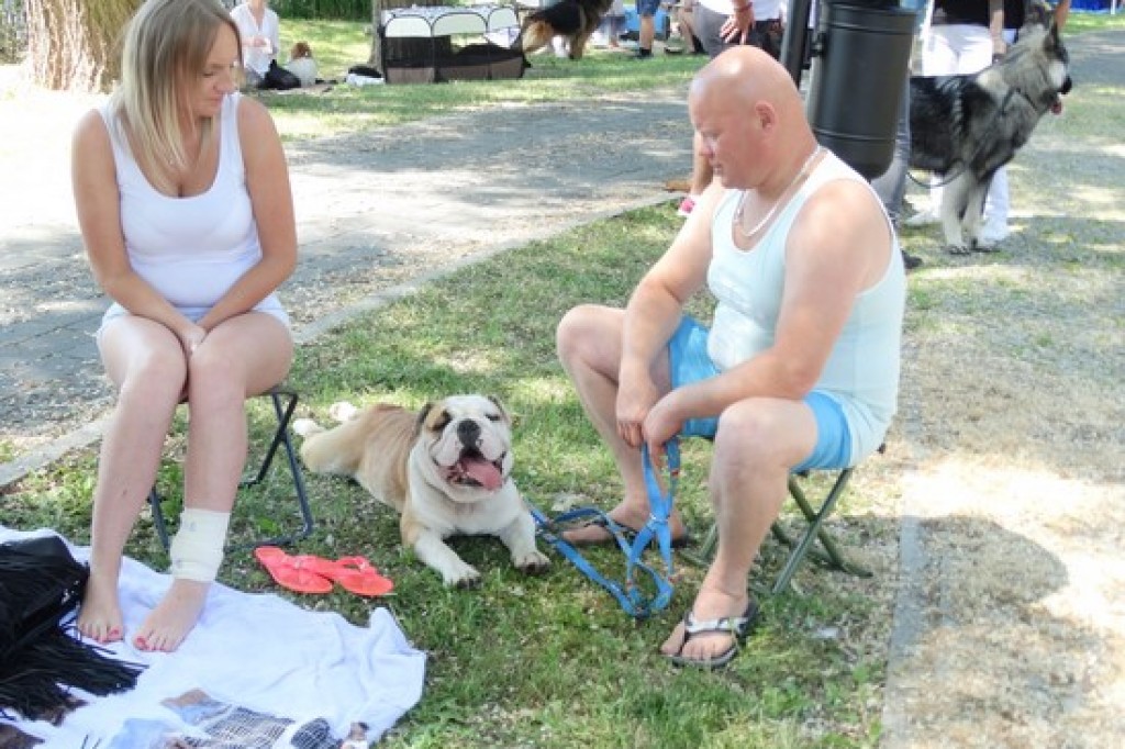 Krajowa Wystawa Psów