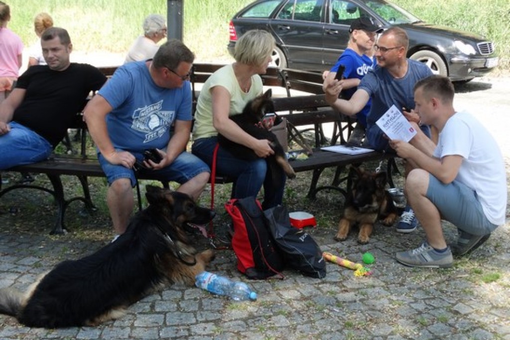 Krajowa Wystawa Psów