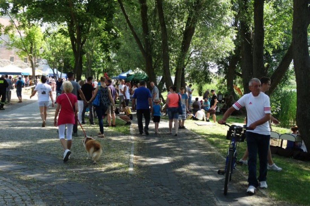 Krajowa Wystawa Psów