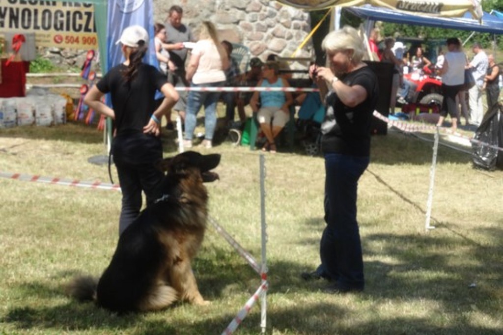 Krajowa Wystawa Psów