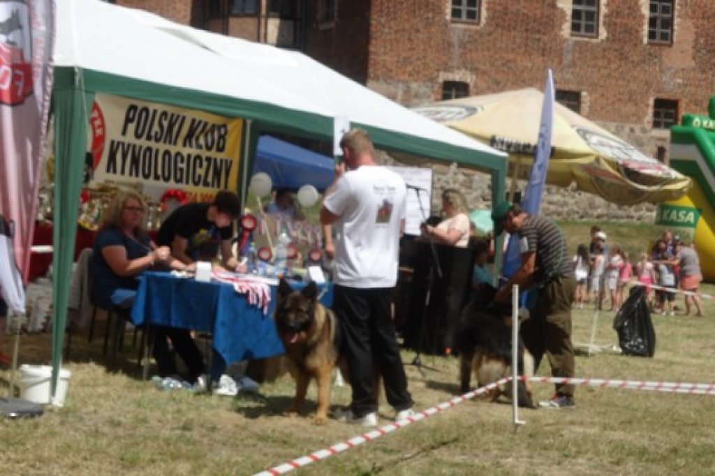 Krajowa Wystawa Psów