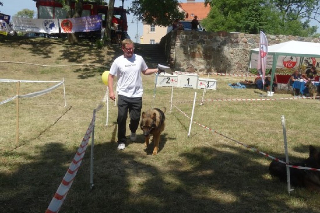 Krajowa Wystawa Psów