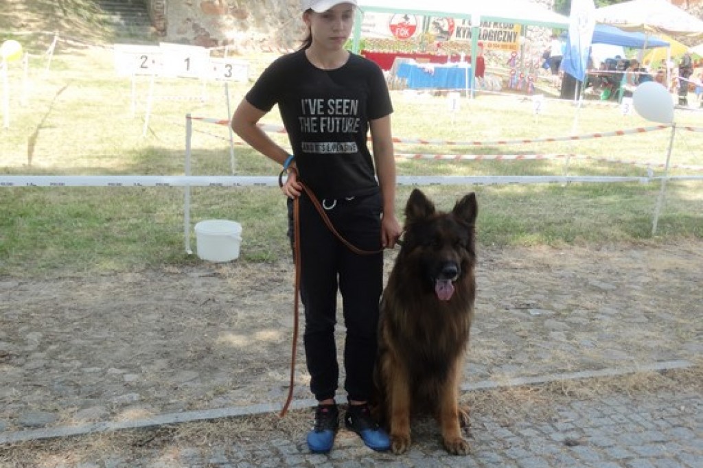 Krajowa Wystawa Psów