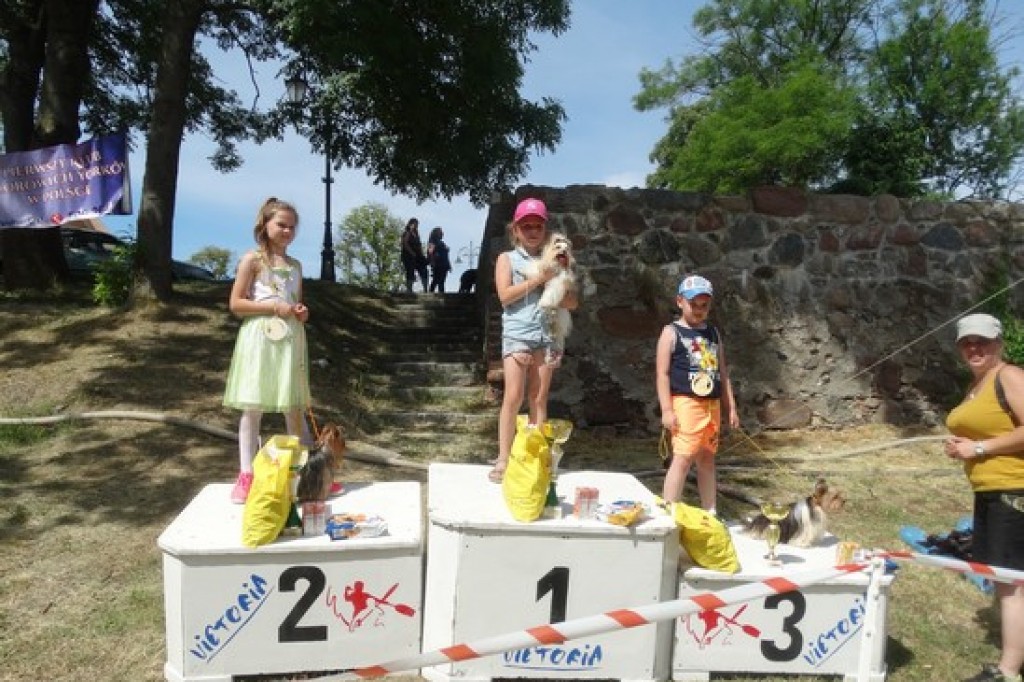 Krajowa Wystawa Psów