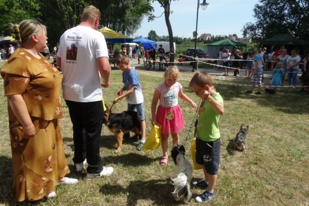 Krajowa Wystawa Psów