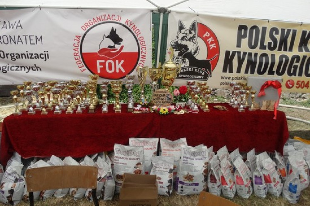 Krajowa Wystawa Psów