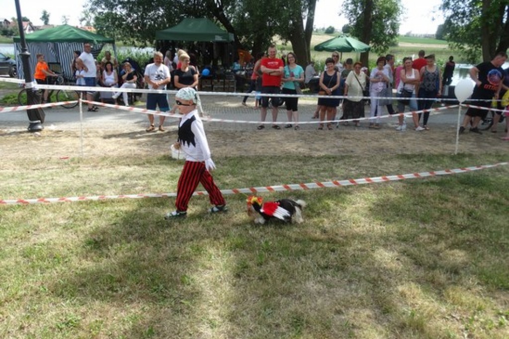 Krajowa Wystawa Psów