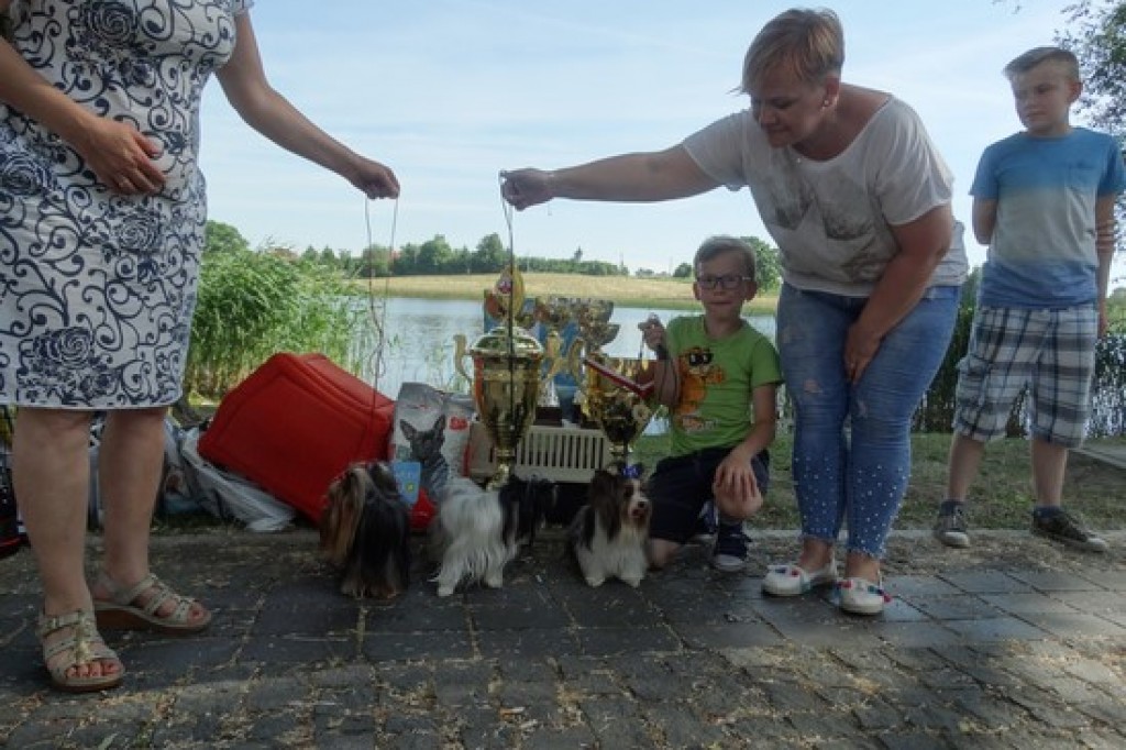 Krajowa Wystawa Psów