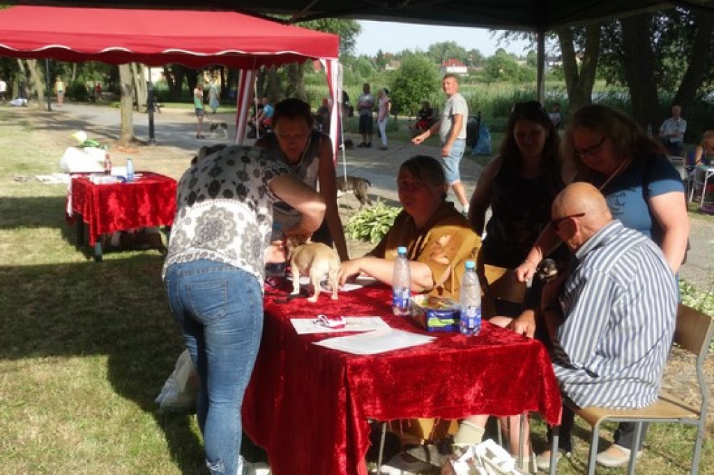 Krajowa Wystawa Psów