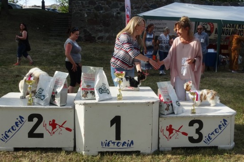 Krajowa Wystawa Psów