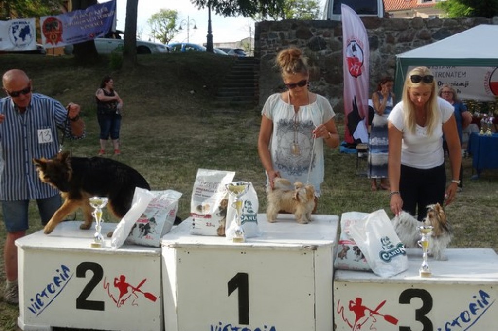 Krajowa Wystawa Psów