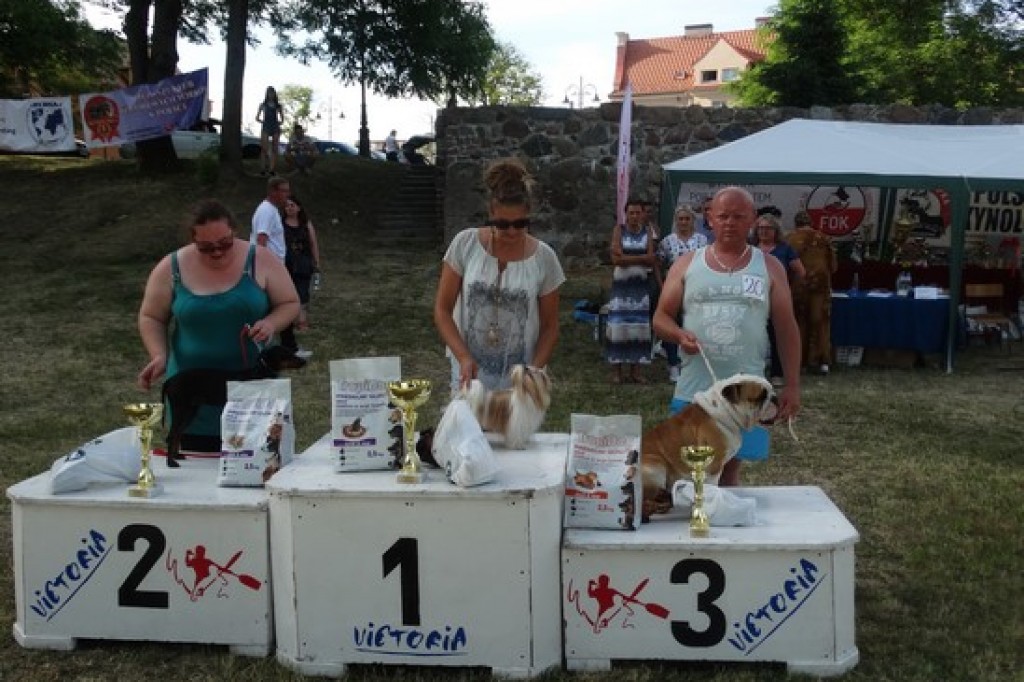 Krajowa Wystawa Psów