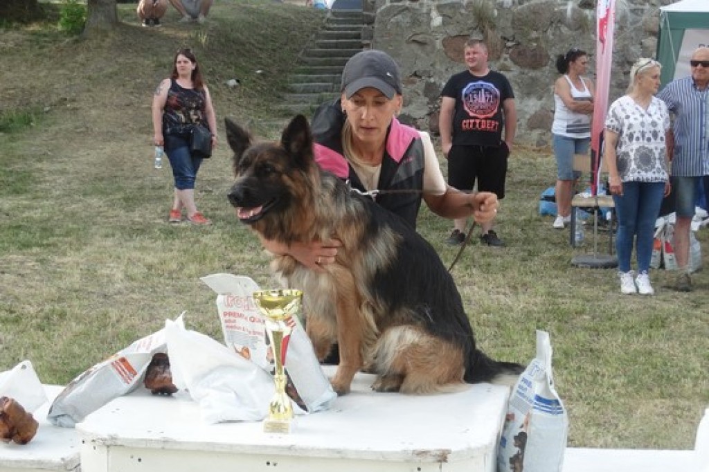 Krajowa Wystawa Psów