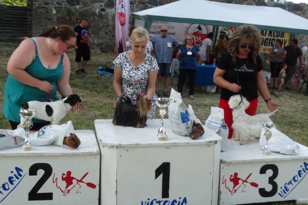 Krajowa Wystawa Psów
