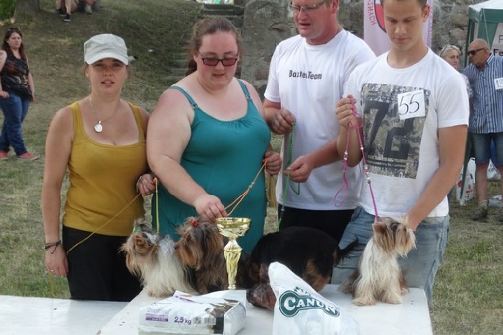 Krajowa Wystawa Psów