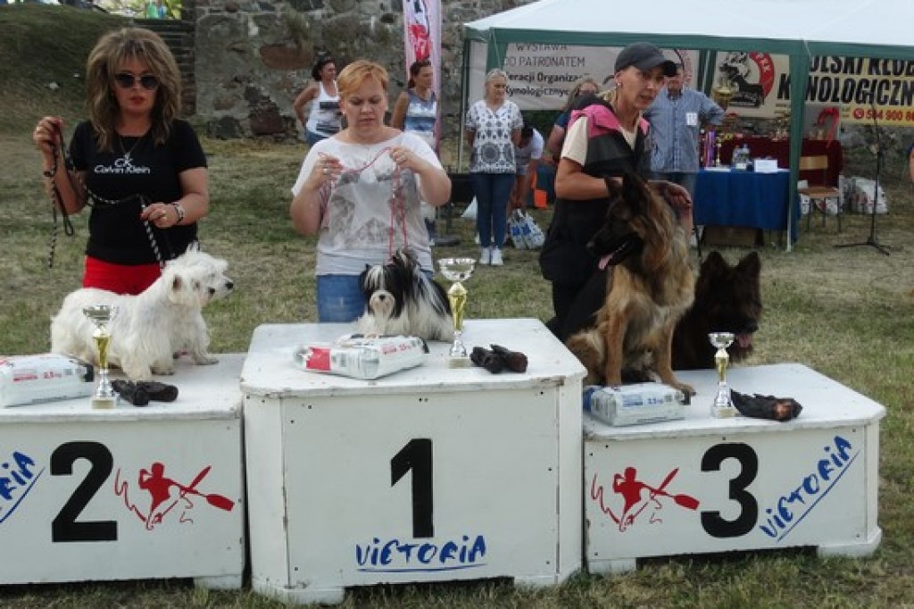 Krajowa Wystawa Psów