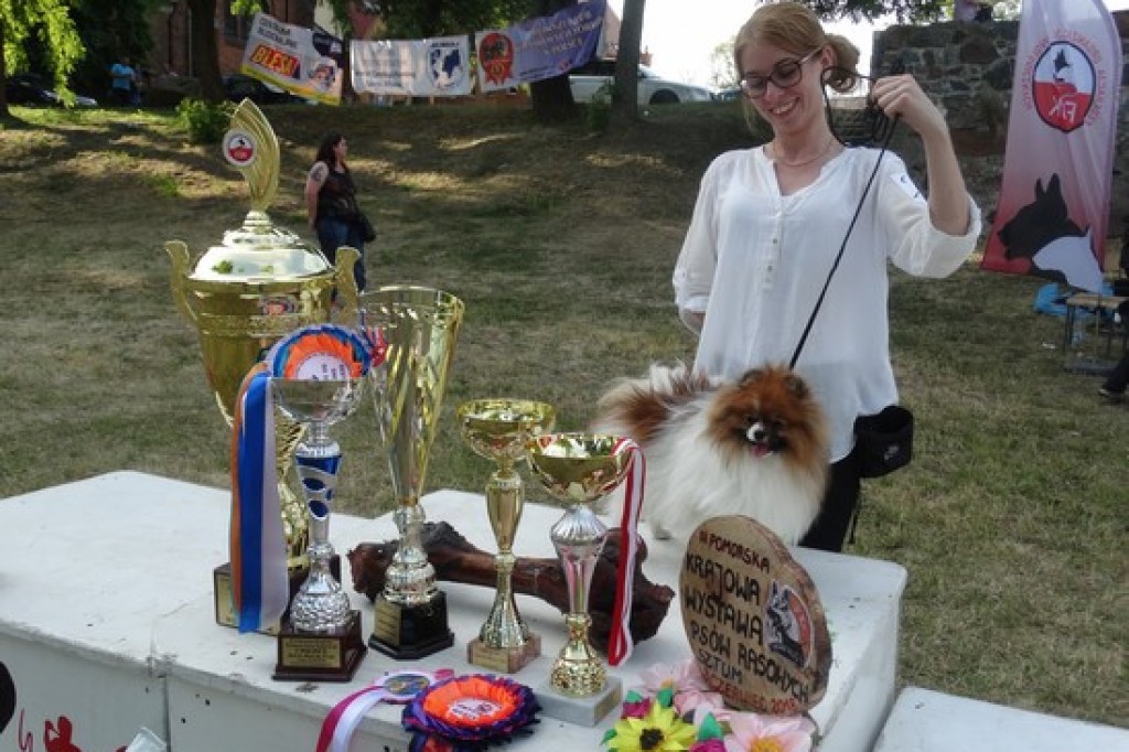 Krajowa Wystawa Psów