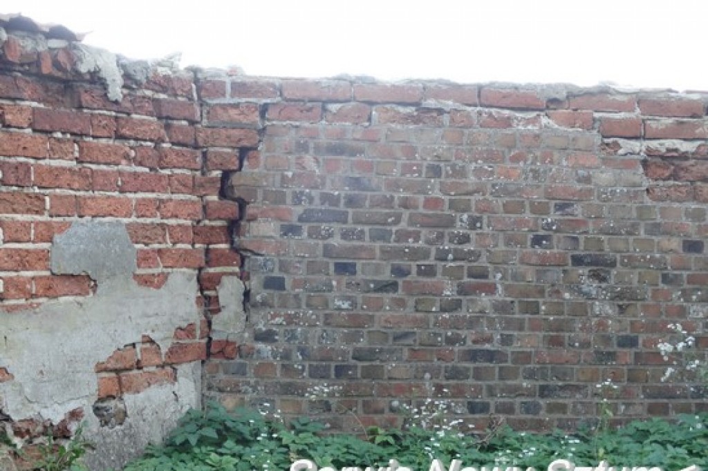 Konferencja o stanie sztumskiego zamku