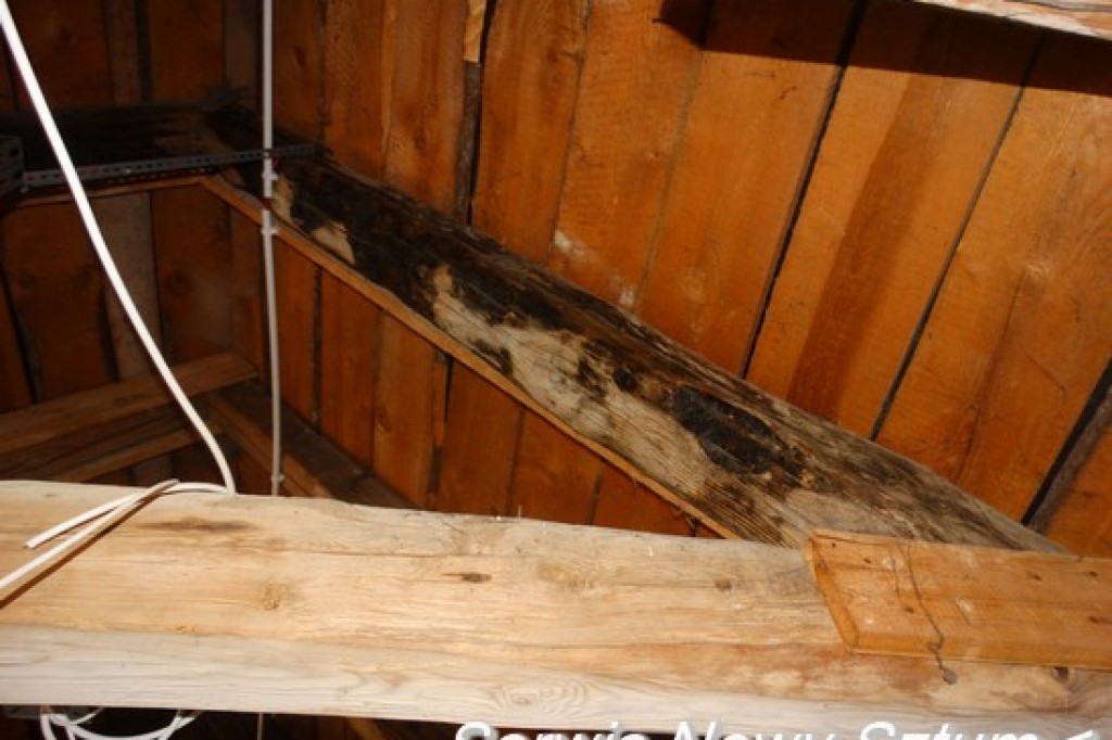 Konferencja o stanie sztumskiego zamku