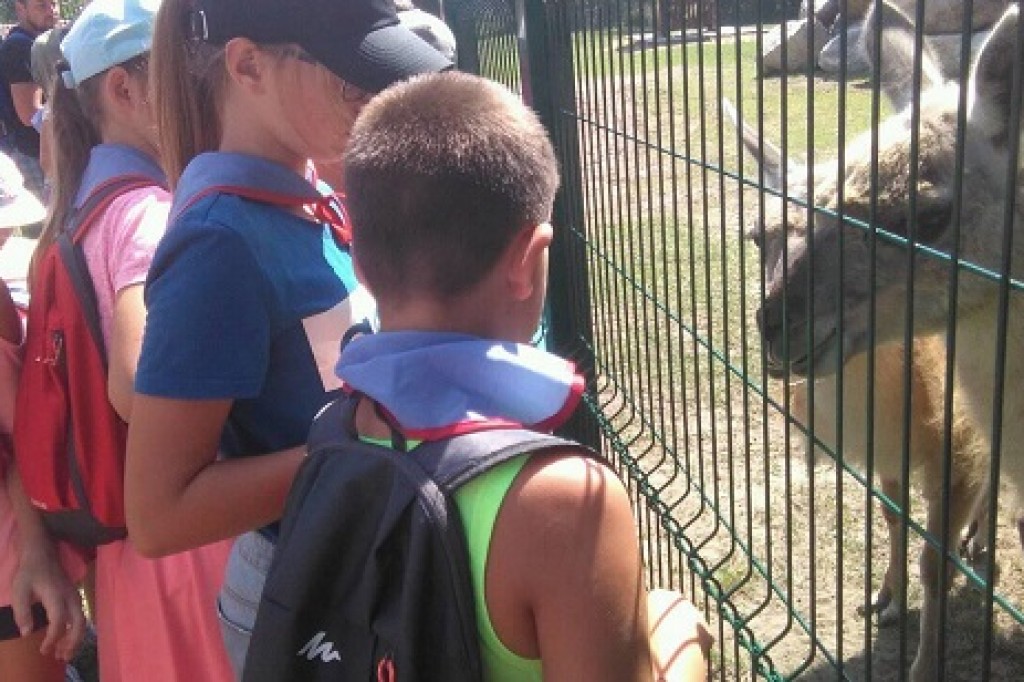 Kolonie letnie Caritas